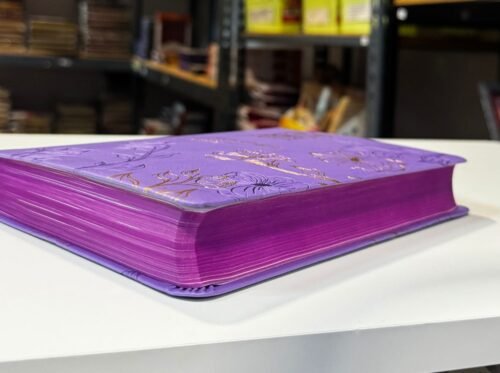 Biblia Reina Valera 1960 Letra Grande 11.5 Puntos | RVR1960 con Concordancia, Referencias Cruzadas y Mapas a Color