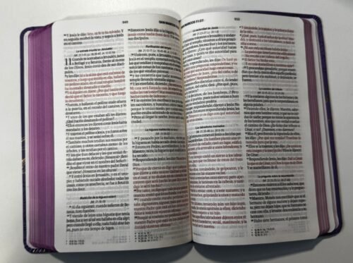 Biblia Reina Valera 1960 Letra Grande 11.5 Puntos | RVR1960 con Concordancia, Referencias Cruzadas y Mapas a Color