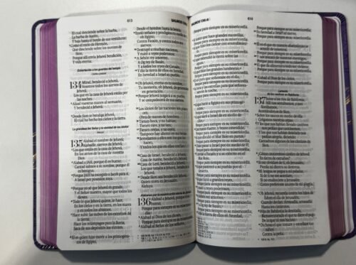 Biblia Reina Valera 1960 Letra Grande 11.5 Puntos | RVR1960 con Concordancia, Referencias Cruzadas y Mapas a Color