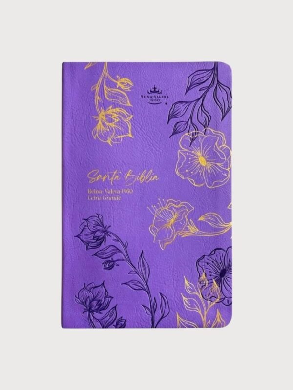 Biblia Reina Valera 1960 Letra Grande 11.5 Puntos | RVR1960 con Concordancia, Referencias Cruzadas y Mapas a Color