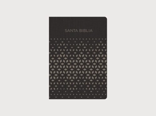 biblia dake - 2026-10-28T221712.976 Biblia Reina Valera 1960 Negra y Plata Símil Piel | Regalos y Premios | Concordancia, Letra 8 Puntos y Mapas a Color